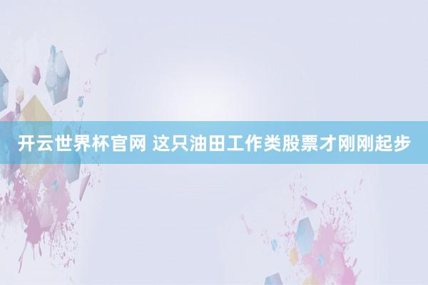 開云世界杯官網 這只油田工作類股票才剛剛起步