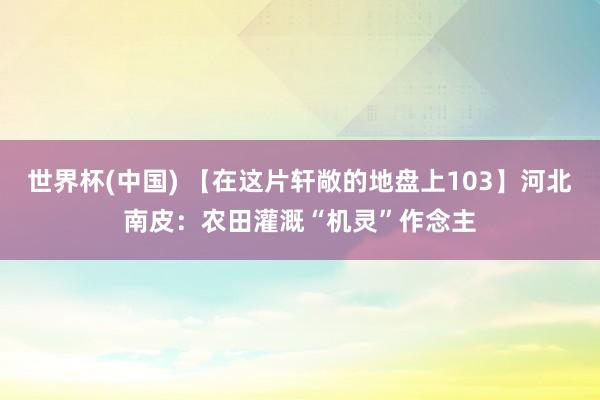 世界杯(中國) 【在這片軒敞的地盤上103】河北南皮：農田灌溉“機靈”作念主