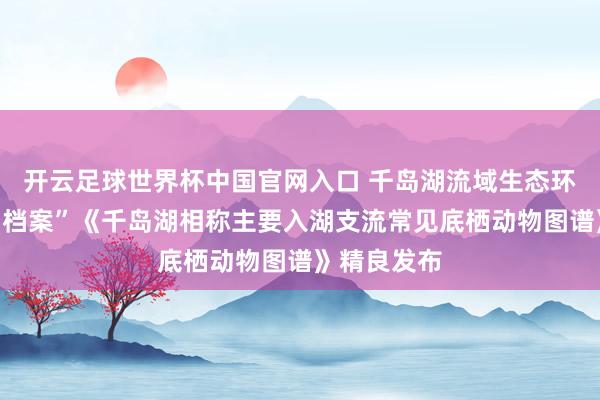 開云足球世界杯中國官網入口 千島湖流域生態環境有了新“檔案”《千島湖相稱主要入湖支流常見底棲動物圖譜》精良發布