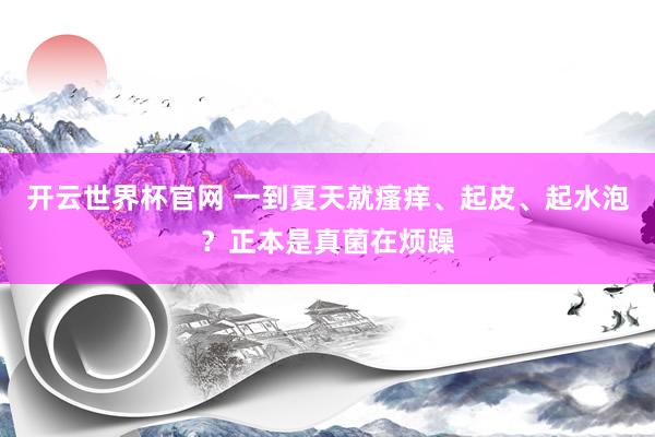 開云世界杯官網(wǎng) 一到夏天就瘙癢、起皮、起水泡？正本是真菌在煩躁