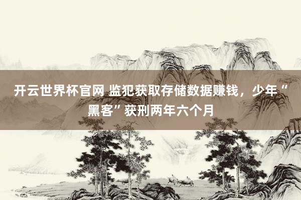開云世界杯官網(wǎng) 監(jiān)犯獲取存儲數(shù)據(jù)賺錢,少年“黑客”獲刑兩年六個月