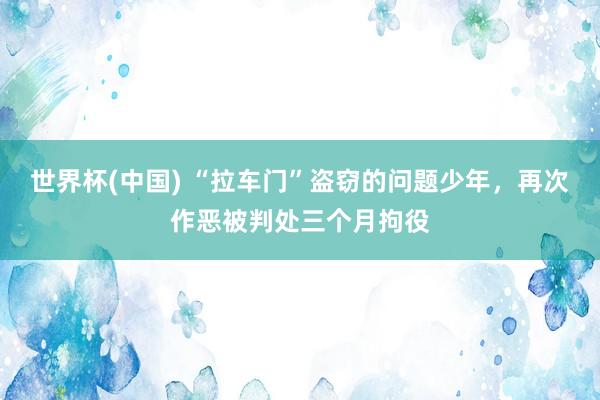 世界杯(中國) “拉車門”盜竊的問題少年，再次作惡被判處三個月拘役