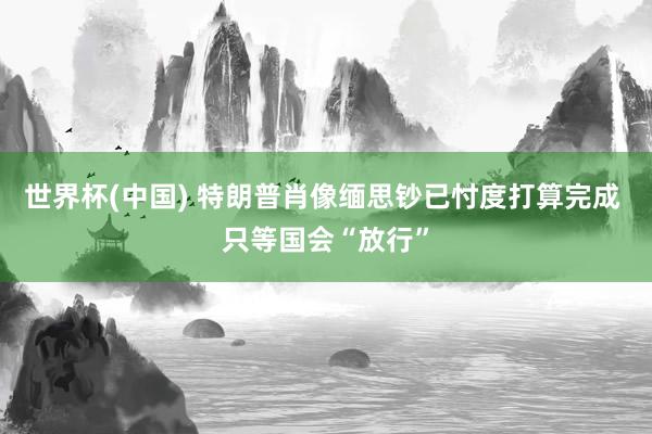 世界杯(中國) 特朗普肖像緬思鈔已忖度打算完成 只等國會(huì)“放行”